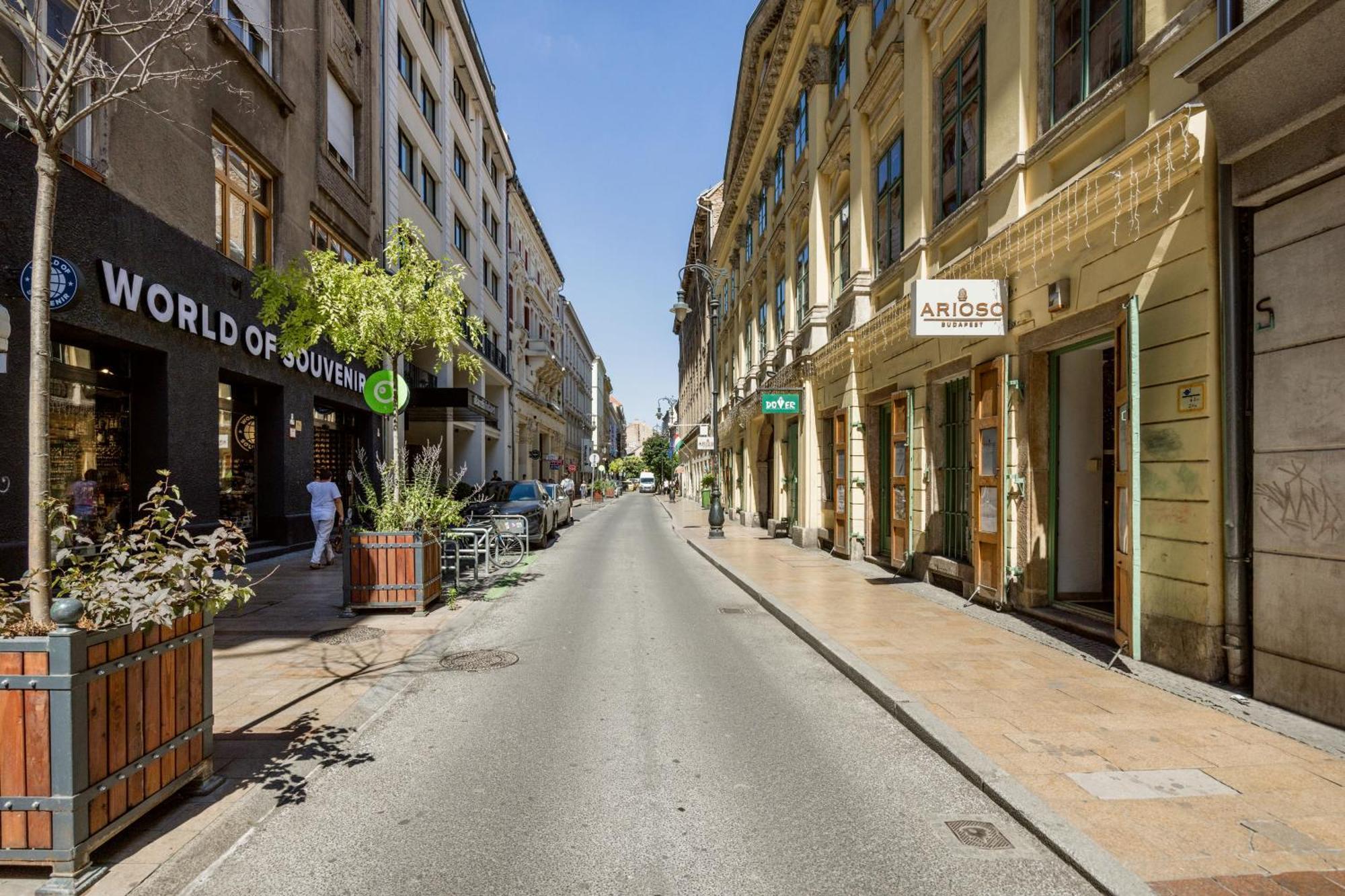 Dream In Budapest-steps To Buda Eye & Fashion Street * Будапешт